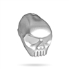 Infamous 170R Skull Back Cap - silver