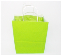 Gift Bag w/ Tissue Paper