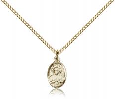 Gold Filled Scapular Pendant, Gold Filled Lite Curb Chain, 1/2" x 1/4"