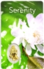 Serenity Holy Card with Medal C144