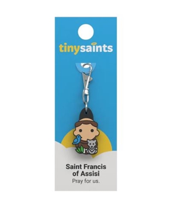 Saint Francis of Assisi Tiny Saints