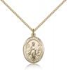 Gold Filled Our Lady of Knock Pendant, Gold Filled Lite Curb Chain, Medium Size Catholic Medal, 3/4" x 1/2"
