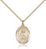 Gold Filled Our Lady of Olives Pendant, Gold Filled Lite Curb Chain, Medium Size Catholic Medal, 3/4" x 1/2"
