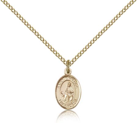Gold Filled St. Dymphna Pendant, Gold Filled Lite Curb Chain, Small Size Catholic Medal, 1/2" x 1/4"