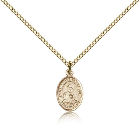 Gold Filled St. James the Lesser Pendant, Gold Filled Lite Curb Chain, Small Size Catholic Medal, 1/2" x 1/4"