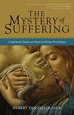 The Mystery of Suffering by Hubert Van Zeller