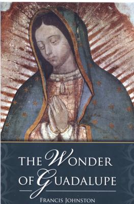 The Wonder of Guadalupe by Francis Johnston
