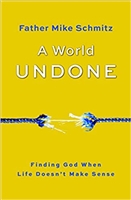 A World Undone Finding God When Life Doesn't Make Sense by Fr. Mike Schmitz