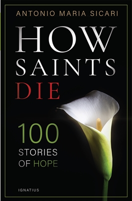 How Saints Die 100 Stories of Hope by Antonio Maria Sicari