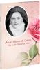 Saint Therese of Lisieux, The Little Flower of Jesus 67/04