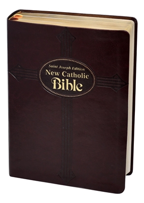 St. Joseph New Catholic Bible Large Type 614/19BG