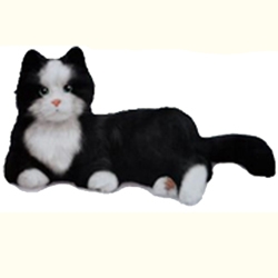 Playmate Black and White Tuxedo Cat