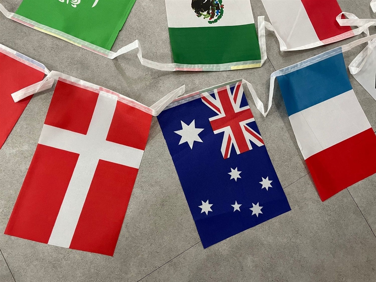 World Cup String Flag Bunting