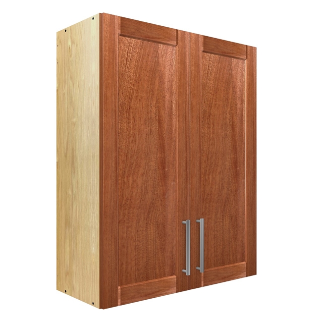 2 door wall cabinet