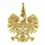 Gold Plated Silver Polish Eagle Pendant .75" Diameter