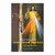 On the 30th of April 2000, Sister Faustina Kowalska, a humble daughter of Poland, was Canonized by Pope John Paul II. This book gives us the picture of Sr. Faustina, an account of her life, her spiritual formation and her life in Christ. Jesus told Sister