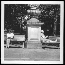 Two generations relaxing in a park reading and knitting.  Historical Black and White Photo Postcard
