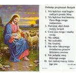 10 Commandments - Polish - Dziesiec przykazan Bozych -  Holy Card Plastic Coated. Picture is on the front, Polish text is on the back of the card.