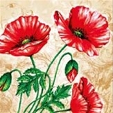 Beautiful Poppy Luncheon Napkins.  Three ply napkins with water based paints used in the printing process.