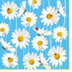 Ladybugs and Daisies Luncheon Napkins (package of 20).  Three ply napkins with water based paints used in the printing process.