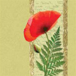 Polish Poppy Dinner Napkins (package of 20).  Three ply napkins with water based paints used in the printing process.