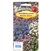 Forget-Me-Not Seed Mix, Myosotis alpestris, Imported from Poland. Eye-catching mixture with inflorescences in interesting colour range: blue, white and pink. Makes a great display on flowerbeds, borders and in containers.