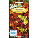 An attractive mixture of annual Wallflowers. Bushy erect plants with strong and pleasant fragrant flowers. Inflorescences in yellow, orange, purple and red colour are used for bedding and cutting.