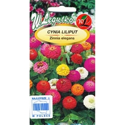 Attractive variety with splendid, spherical inflorescences in wide range of colours. Flower heads come to 3-4 cm in diameter. Perfect for bedding, cutting, borders and group arrangements.