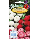 Bedding plant with flowers in bright colours as white, pink and red looks amazing in containers.