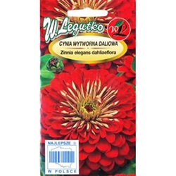 Zinnia Scarlet Flame Seeds - Cynia Wytworna Daliowa nasiona - Zinnia Elegans Dahliaeflora