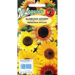 Tall mixture of single flowered Sunflowers in wide range of colours from lemon-yellow to brown-red. Worth place in every garden. Ideal for growing in a large clump and superb as a cut flower. One of the easiest plants to grow.