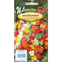 Strongly growing Nasturtium with spreading stems and numerous flowers in yellow, orange and scarlet colours. Very popular for bowers covering, fences and balconies sometimes as cut flowers.