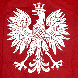 Great way to display your child's Polish heritage.Polish Prince T-Shirt, Children's