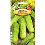 Cucumber Seeds - Ogorek Wisconsin . Imported from Poland.  
Young fruit picked everyday are ideal for cornichons (sour gherkins), older ones, 6-9 cm long are recommended for pickling.