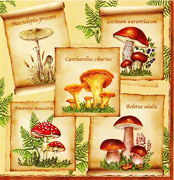 Polish Folk Art Dinner Napkins (package of 20) - "Polish Mushrooms" - Three ply napkins with water based paints used in the printing process.
