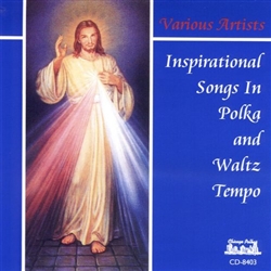Inspirational Songs In Polka and Waltz Tempo - Various Artists