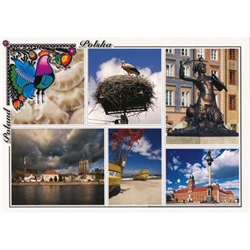Polish full color glossy post cards are perfect for those school heritage projects. Scenes from around Poland including: Russian Pirozhki Stork - Bocian Warsaw's Mermaid - Warszawska Syrenka Wroclaw - Wroclaw The Baltic Sea - Morze Baltyckie Warsaw