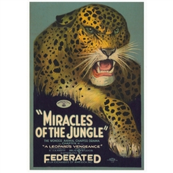 Postcard: Post Card: Miracles of The Jungle, Polish Movie Poster.  It has now been turned into a post card size 4.75" x 6.75" - 12cm x 17cm.