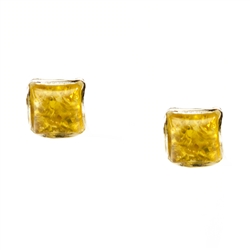 Citrine Baltic Amber mini stud earrings with Sterling Silver detail.