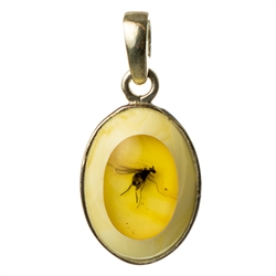 This unique amber pendant has a winged insect trapped inside a honey amber stone.  This clear stone has been inlaid a milky amber stone.