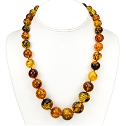 Multi-shades on beautiful amber rounded beads are highlighted in this graduated string. Beads vary from 1 - 2 cm in diameter.