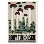 Post Card: Bory Tucholskie, Polish Tourist Poster