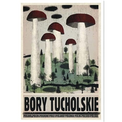 Post Card: Bory Tucholskie, Polish Tourist Poster designed by artist Ryszard Kaja in 2018. It has now been turned into a post card size 4.75" x 6.75" - 12cm x 17cm.