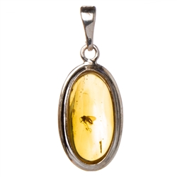 Beautiful oval shaped sterling silver amber pendant highlighting a fruit fly inclusion. Size is approx 1.25" x .5".  Product of Lithuania.
