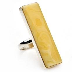 A beautiful slice of custard amber framed in a classic sterling silver frame.  Size is approx 1.75" x .5". Only one piece this size is available.