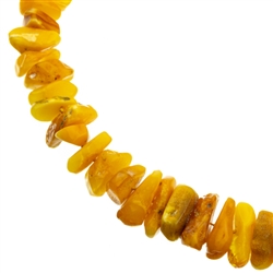 This beautiful polished amber necklace features naturally shaped Baltic custard color amber beads strung together, and finished with a sterling silver closure. The beads are knotted between each bead.