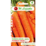 Carrot Seeds - Marchew wczesna Jadalna - Daucus carota