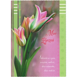 Polish General Greeting Card. Text is in Polish language only. This is a 'Best of Everything'  card