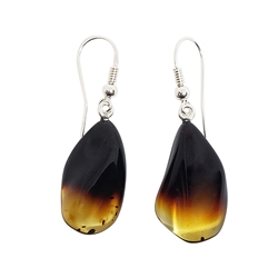 Amber Freeform Ombre Fired Drop Earrings. Small size free-form fired amber stones set on .925 sterling silver hooks. Ombre color drop earrings. Size is approx 1.5" x 0.6"