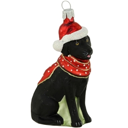 Dressed in a fetching red scarf and Santa hat, this adorable pooch is just begging for your attention! Hand-painted with shimmering glazes and touches of eye-catching glitter, our black lab with Santa hat ornament is expertly crafted of glass in Poland an